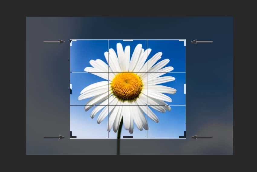 changing the size of the crop frame